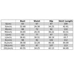 YESFASHION New Ladies Shiny Stretch Dress