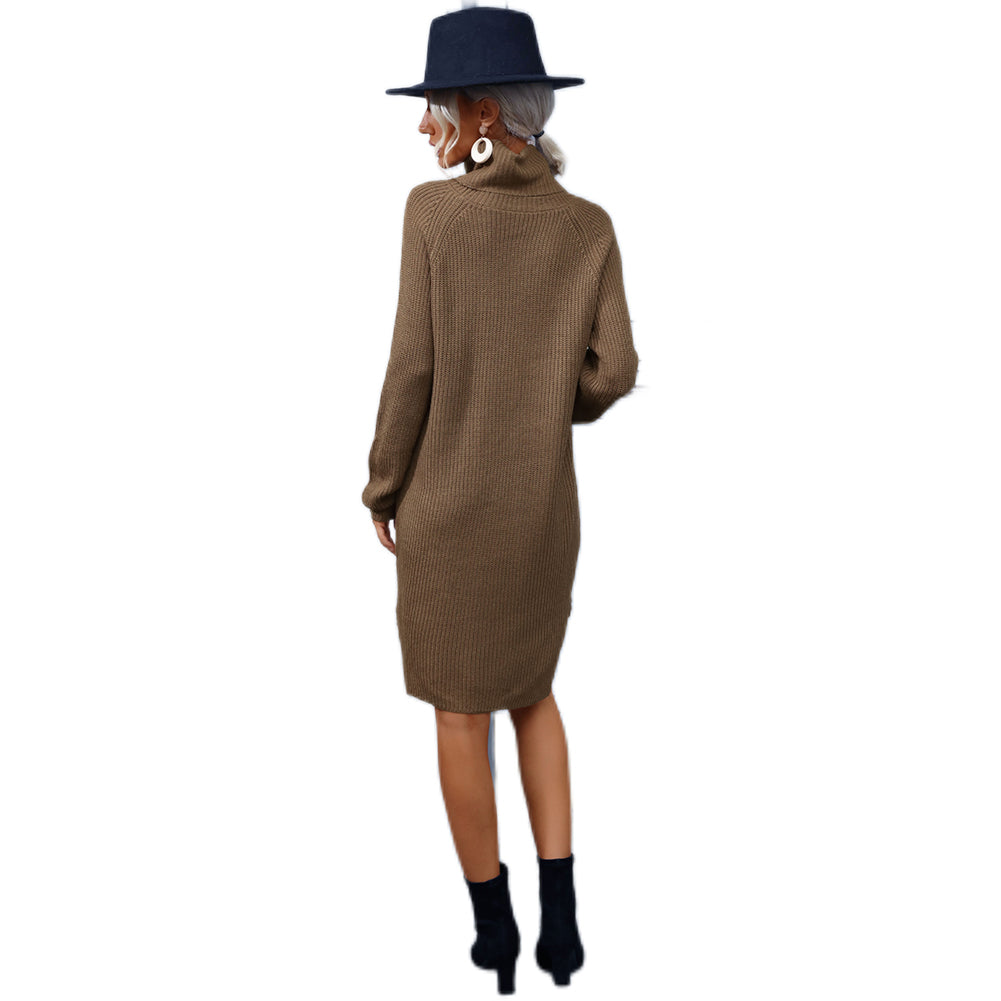 YESFASHION Loose Long Sleeve Solid Turtleneck Dress